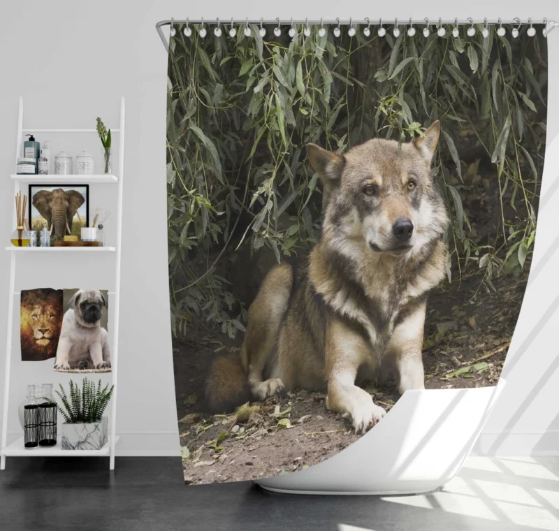 Canis Lupus Wolf Wilderness Spirit Shower Curtain