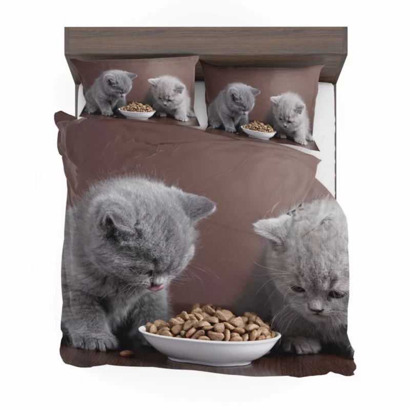 Captivating Cat Charm Bedding Set 1