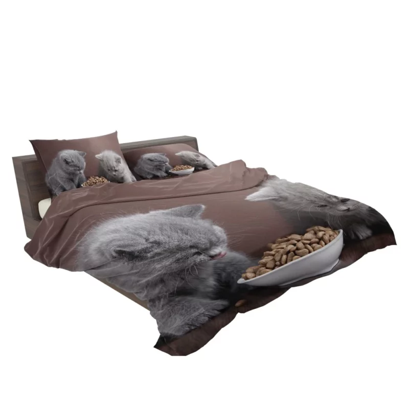 Captivating Cat Charm Bedding Set 2