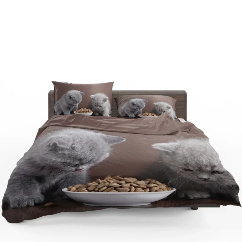 Captivating Cat Charm Bedding Set