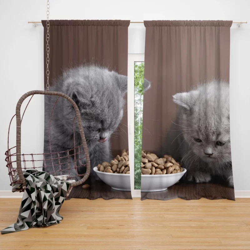 Captivating Cat Charm Curtain