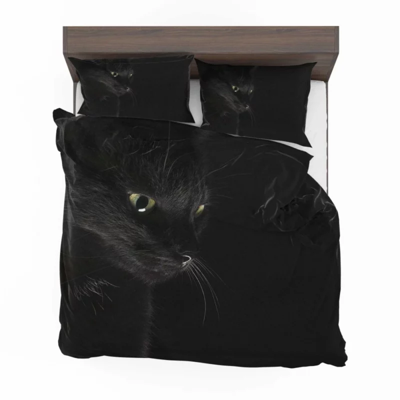 Captivating Cat Eye Feline Mystery Bedding Set 1