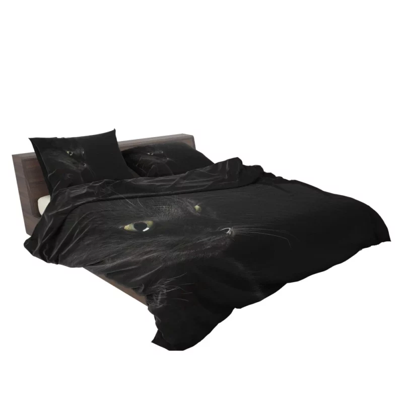 Captivating Cat Eye Feline Mystery Bedding Set 2