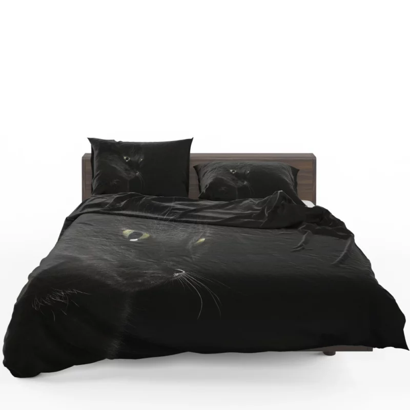 Captivating Cat Eye Feline Mystery Bedding Set