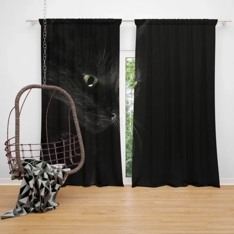 Captivating Cat Eye Feline Mystery Curtain