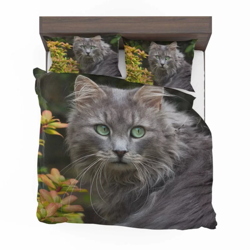 Captivating Cat Eyes Feline Mystique Bedding Set 1