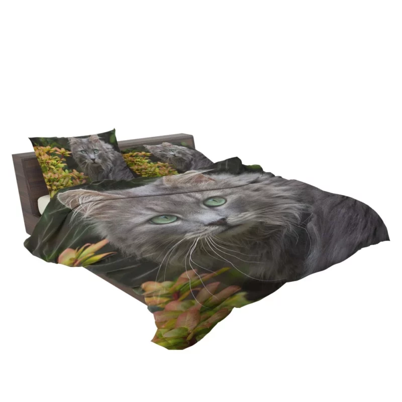 Captivating Cat Eyes Feline Mystique Bedding Set 2