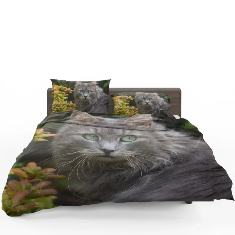 Captivating Cat Eyes Feline Mystique Bedding Set