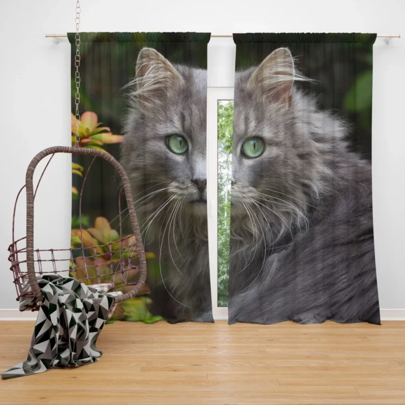 Captivating Cat Eyes Feline Mystique Curtain