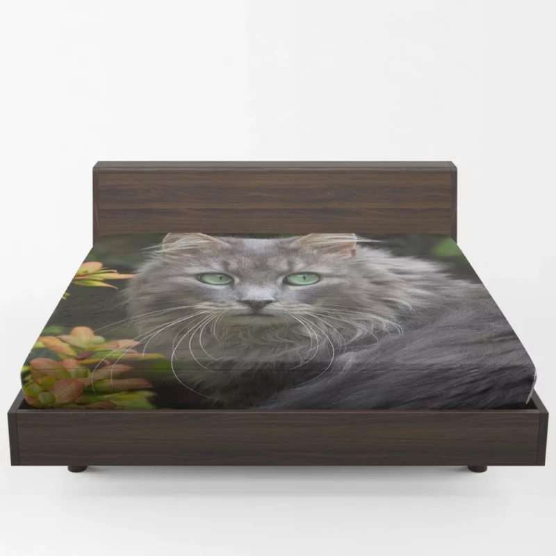 Captivating Cat Eyes Feline Mystique Fitted Sheet