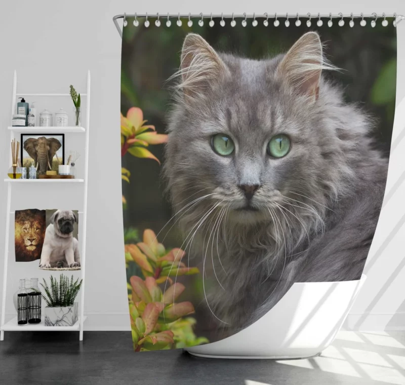 Captivating Cat Eyes Feline Mystique Shower Curtain