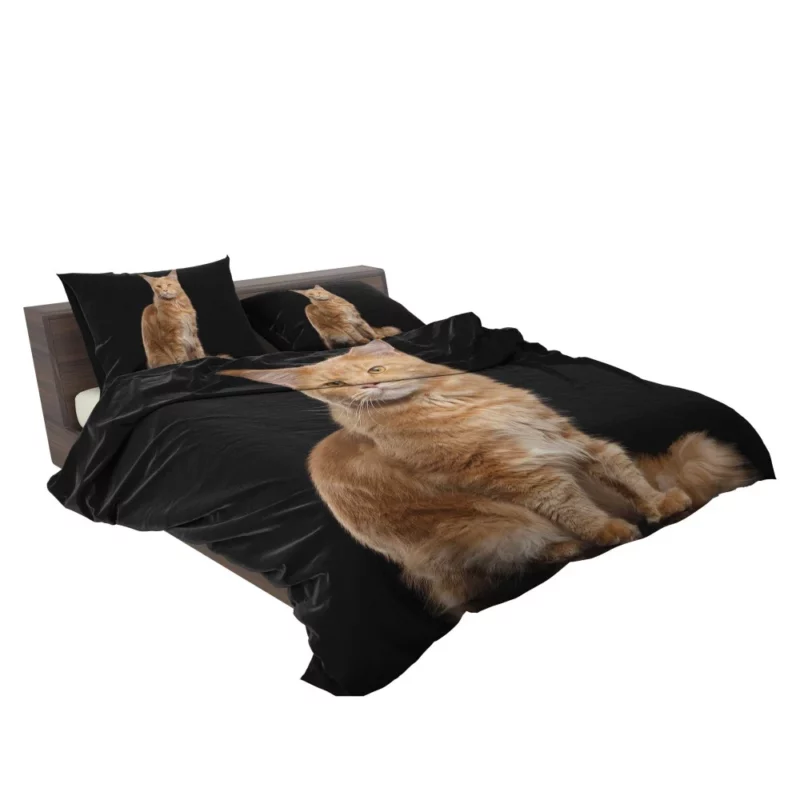 Captivating Cat Gaze Feline Enigma Bedding Set 2