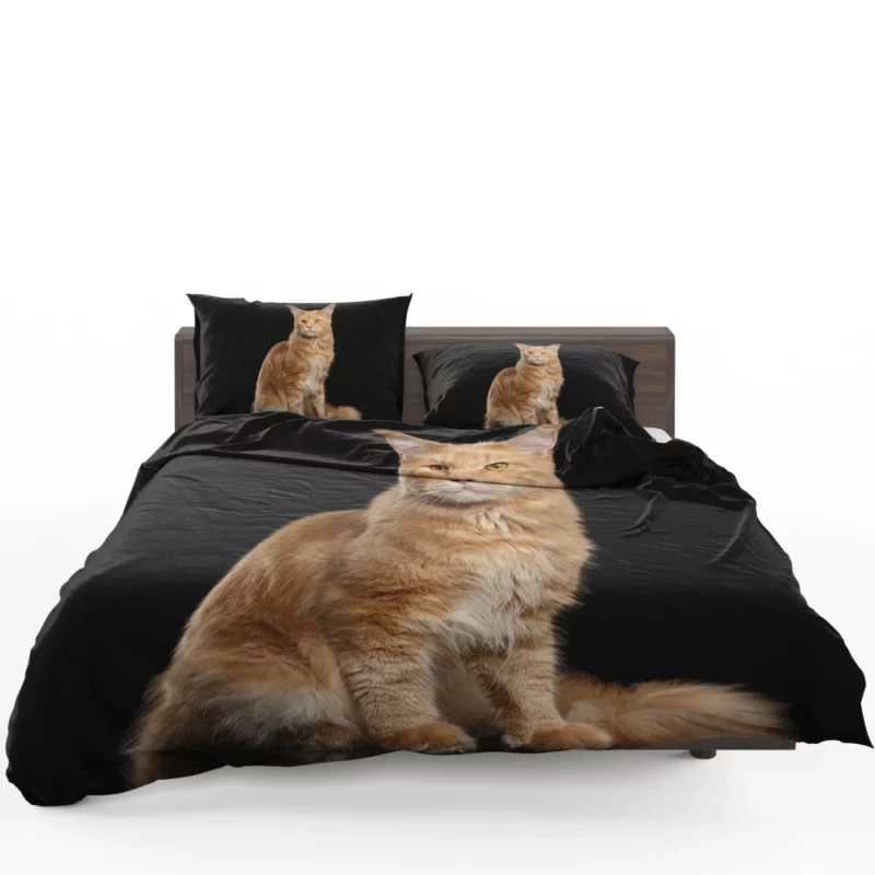 Captivating Cat Gaze Feline Enigma Bedding Set