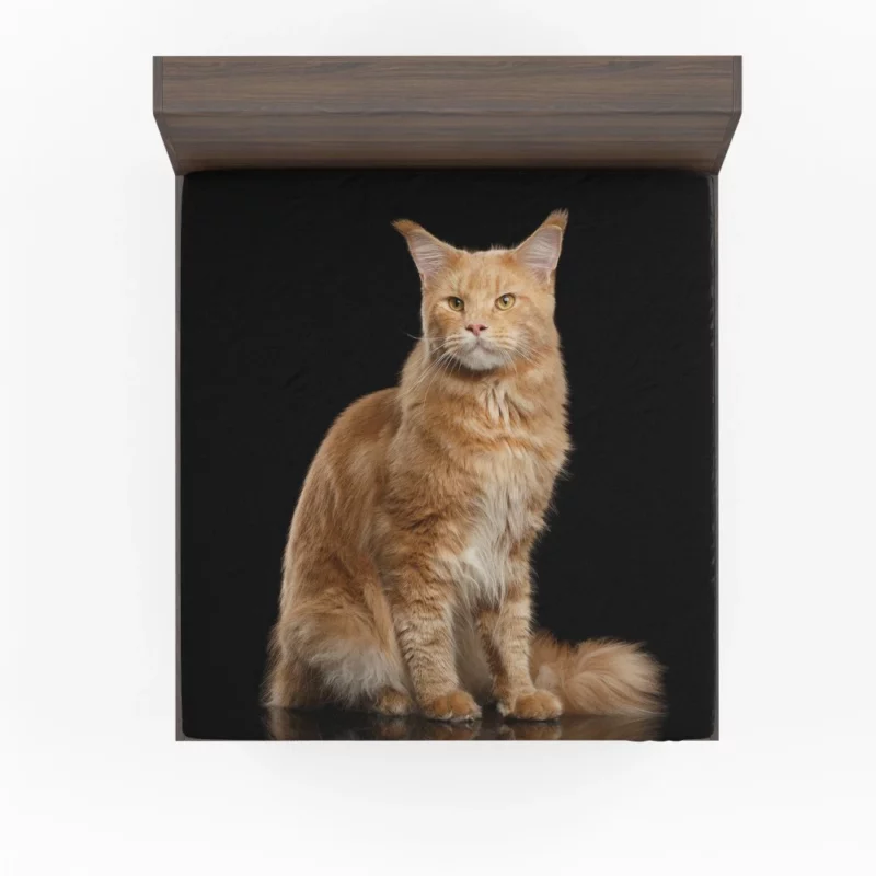 Captivating Cat Gaze Feline Enigma Fitted Sheet 1