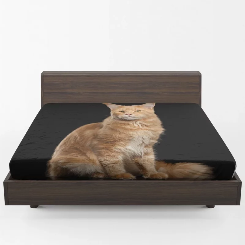 Captivating Cat Gaze Feline Enigma Fitted Sheet