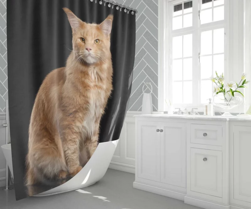 Captivating Cat Gaze Feline Enigma Shower Curtain 1