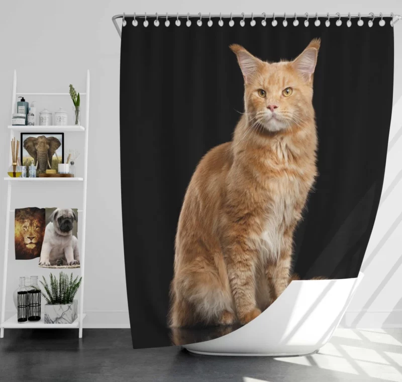 Captivating Cat Gaze Feline Enigma Shower Curtain