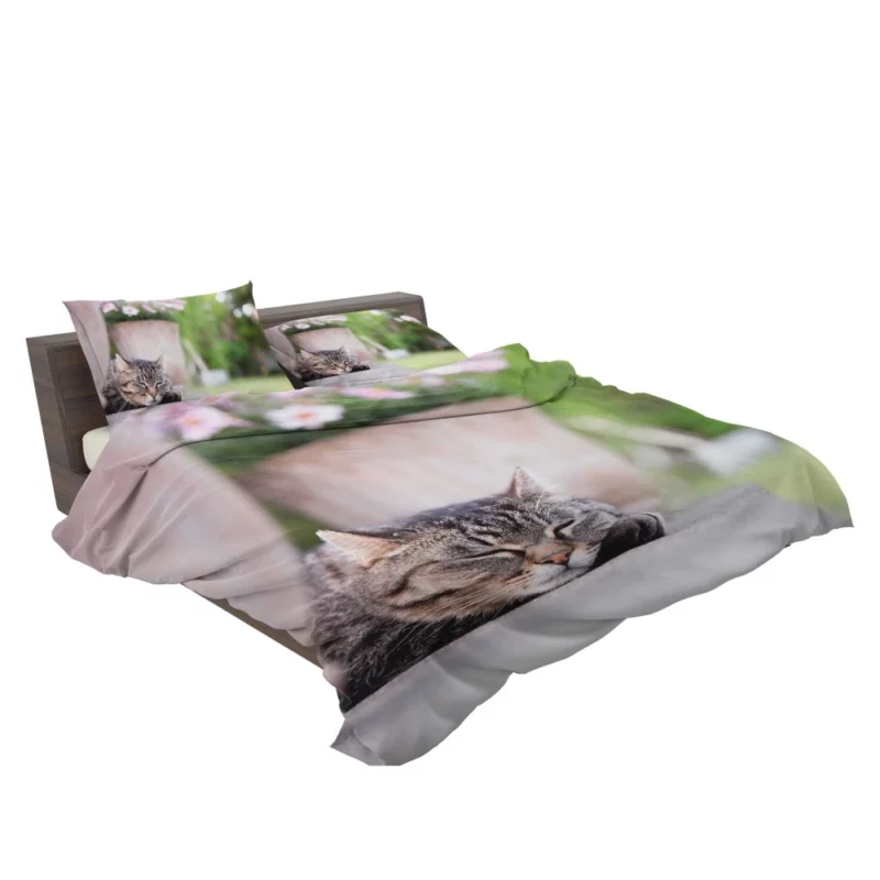 Captivating Cat Glance Bedding Set 2