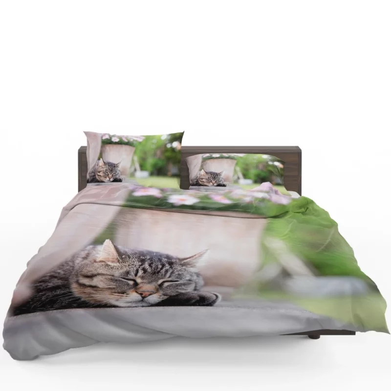 Captivating Cat Glance Bedding Set