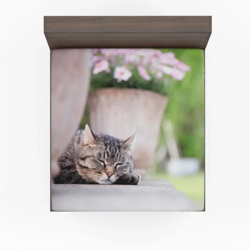 Captivating Cat Glance Fitted Sheet 1