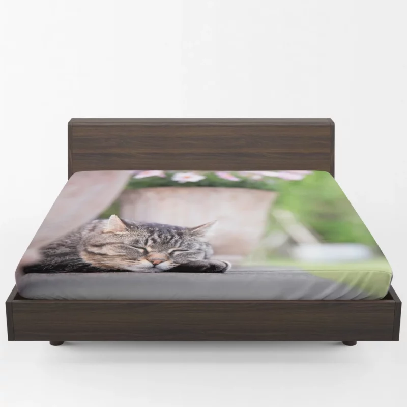 Captivating Cat Glance Fitted Sheet