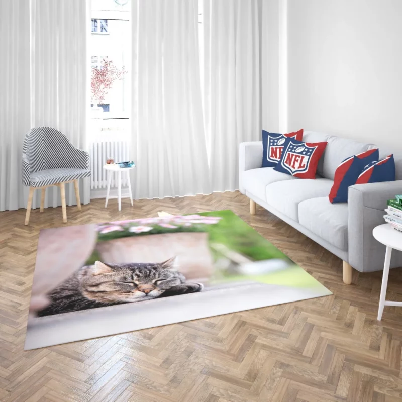 Captivating Cat Glance Rug 2