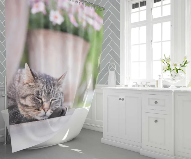 Captivating Cat Glance Shower Curtain 1