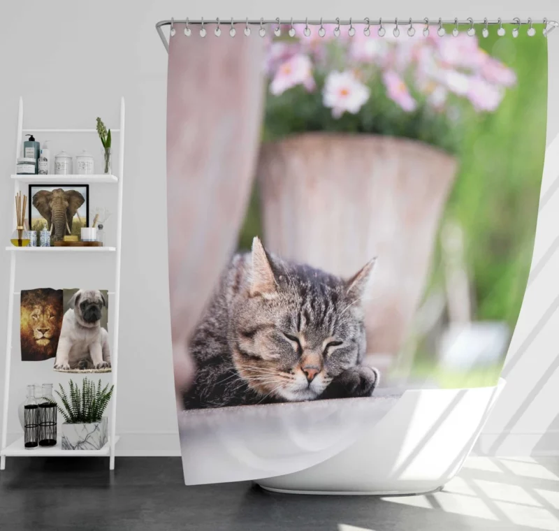 Captivating Cat Glance Shower Curtain