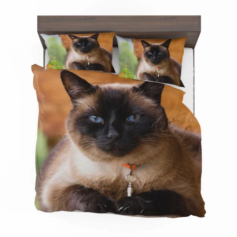 Captivating Charm Cat Aura Bedding Set 1