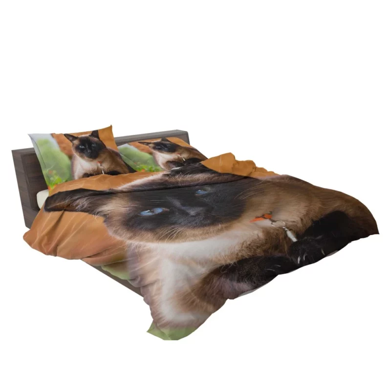 Captivating Charm Cat Aura Bedding Set 2