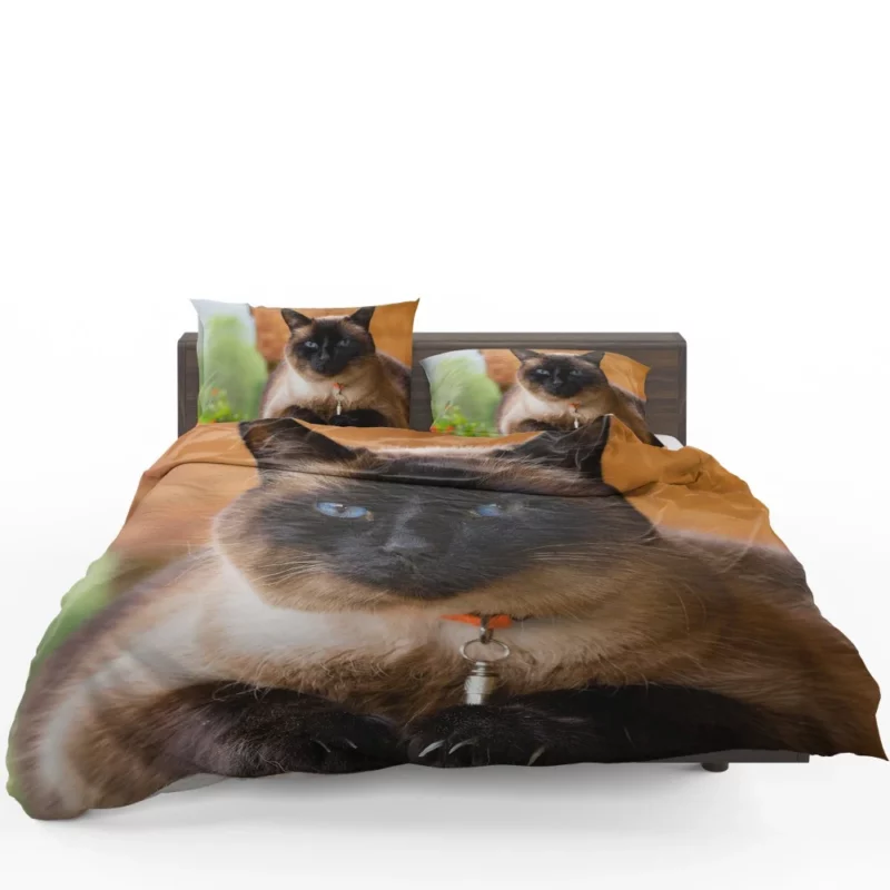 Captivating Charm Cat Aura Bedding Set