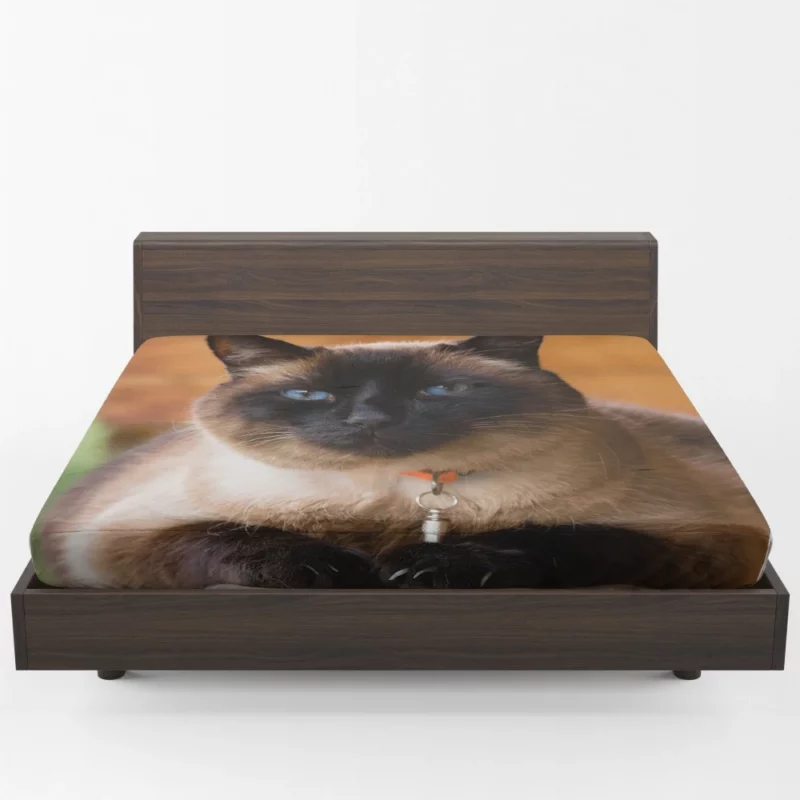 Captivating Charm Cat Aura Fitted Sheet