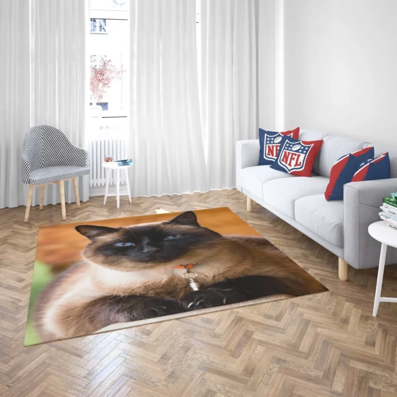 Captivating Charm Cat Aura Rug 2