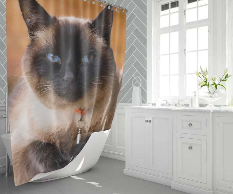 Captivating Charm Cat Aura Shower Curtain 1