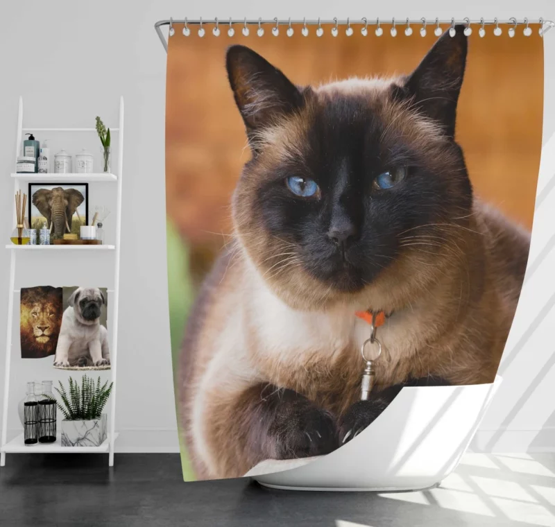 Captivating Charm Cat Aura Shower Curtain