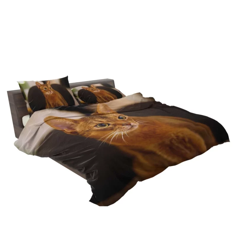 Captivating Gaze Mysterious Cat Stare Bedding Set 2