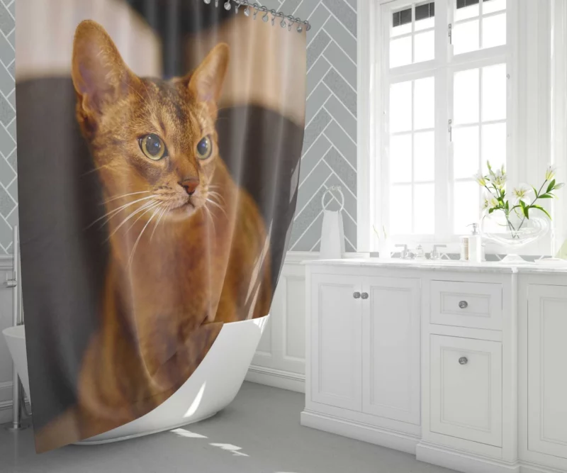 Captivating Gaze Mysterious Cat Stare Shower Curtain 1