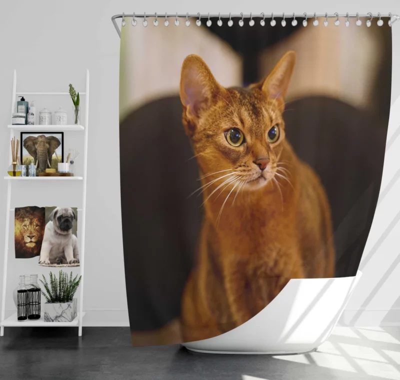 Captivating Gaze Mysterious Cat Stare Shower Curtain