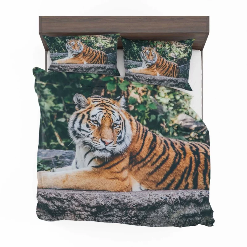 Captivating Tiger Gaze Enigmatic Intrigue Bedding Set 1