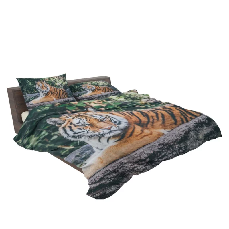 Captivating Tiger Gaze Enigmatic Intrigue Bedding Set 2