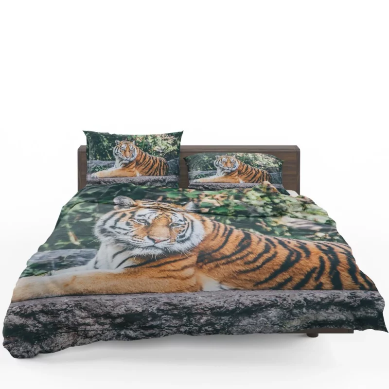 Captivating Tiger Gaze Enigmatic Intrigue Bedding Set