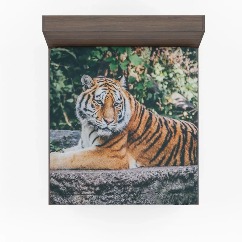 Captivating Tiger Gaze Enigmatic Intrigue Fitted Sheet 1