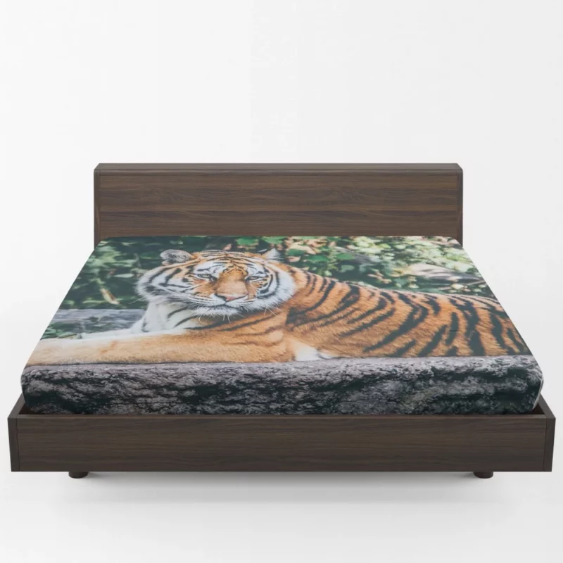 Captivating Tiger Gaze Enigmatic Intrigue Fitted Sheet