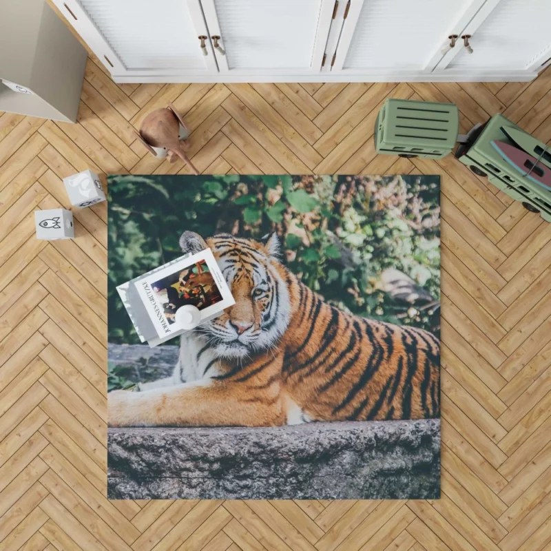 Captivating Tiger Gaze Enigmatic Intrigue Rug