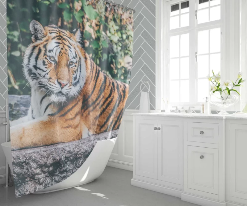 Captivating Tiger Gaze Enigmatic Intrigue Shower Curtain 1