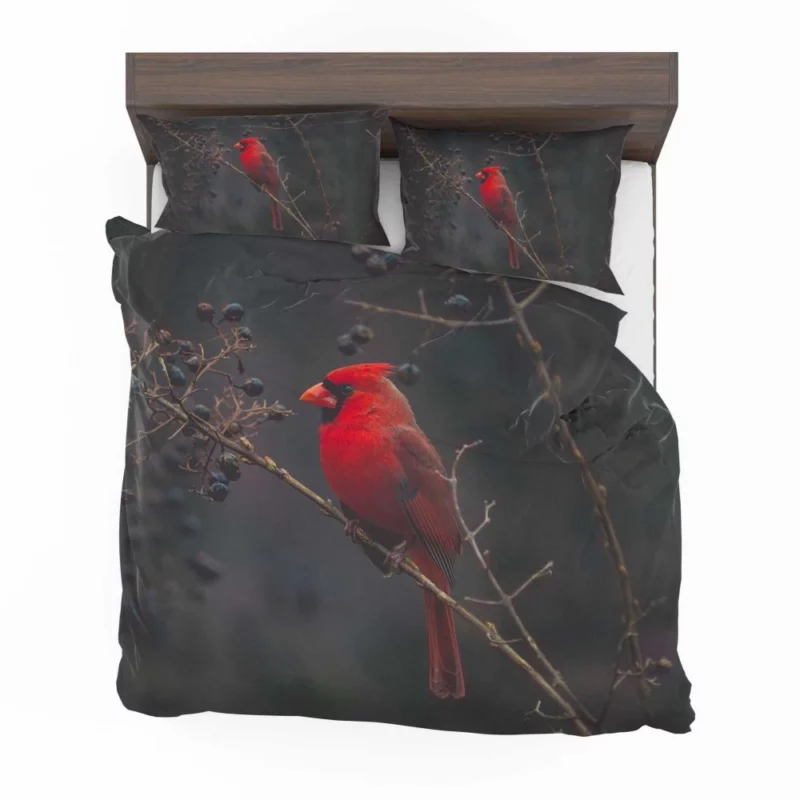 Cardinal Vibrant Plumage Red Beauty Bedding Set 1