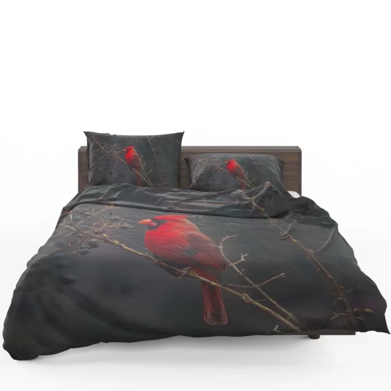 Cardinal Vibrant Plumage Red Beauty Bedding Set