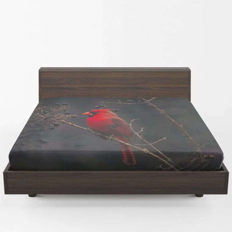 Cardinal Vibrant Plumage Red Beauty Fitted Sheet