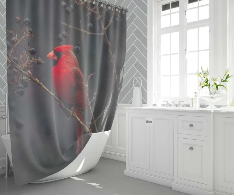 Cardinal Vibrant Plumage Red Beauty Shower Curtain 1