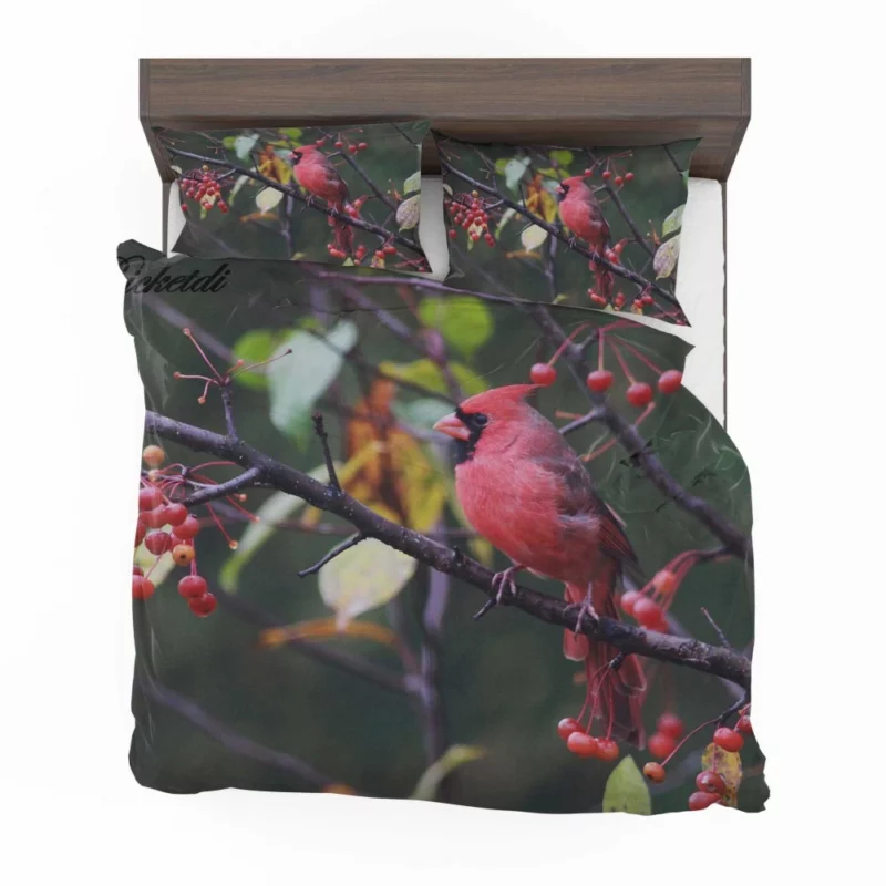 Cardinal Vibrant Plumage Scarlet Elegance Bedding Set 1